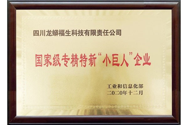 certificate1 (2)